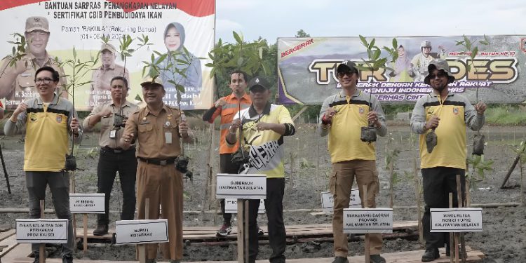 Gerakan penanaman pohon mangrove di pesisir Desa Sigam. (foto : Adpim Kalsel)