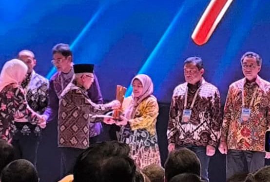 Wakil Presiden RI H. Ma’ruf Amin serahkan penghargaan nasional pada ajang Naker Award 2024 untuk kategori perusahaan kecil yang mempekerjakan tenaga kerja penyandang disabilitas 2024 kepada Pimpinan CV Marlina Jaya Abadi Sherly Marlina.