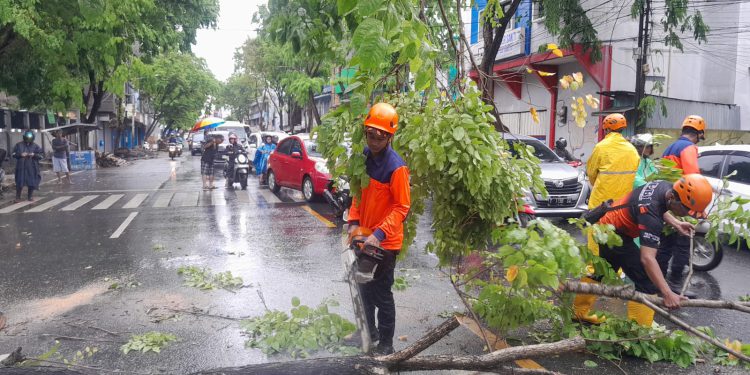 Petugas saat membersihkan pohon tumbang yang menghalangi jalan. (foto : shn/seputaran)