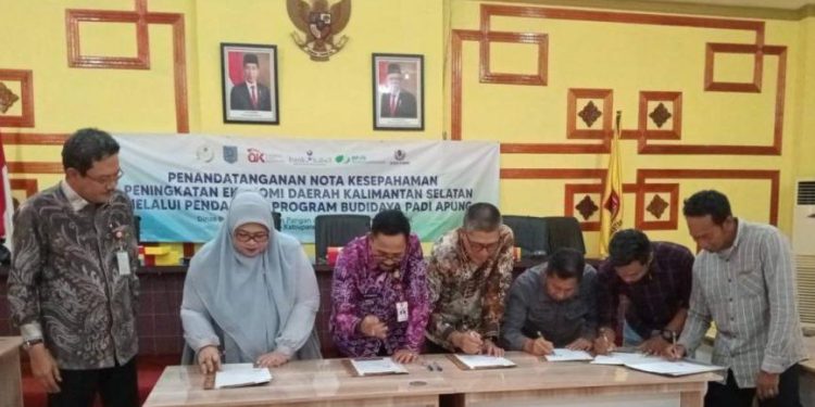 Dirut Bank Kalsel Fachrudin bersama DPKP Kalsel tandatangani kerjasama program budidaya padi apung. (foto : istimewa)