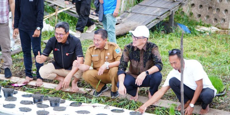 Dirut Bank Kalsel Fachrudin saat di lokasi Padi Apung Desa Siang  Gantung. (foto : istimewa)