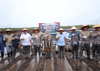 Polda Kalsel Gelar Penanaman Jagung Serentak 1 Juta Hektare