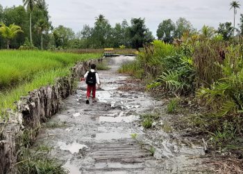Perbaikan Jalan Simpang Jelai Bakal Direalisasikan 2025