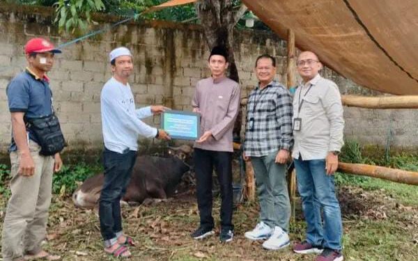 Penyerahan secara simbolis bantuan satu ekor sapi kepada panitia haul Guru Sekumpul. (foto : Bank Kalsel)