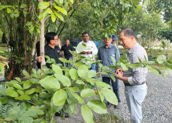 Dukung Penghijauan, Arboretum Ayu Tirta Siapkan Lahan Penanaman untuk Peserta HPN 2025
