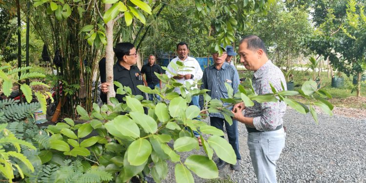 Kawasan Arboretum Ayu Tirta yang akan dipakai untuk lokasi penanaman di HPN. (foto : istimewa)