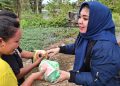 Srikandi Dewan Asal Nasdem Salurkan Bantuan ke Korban Banjir Kurau