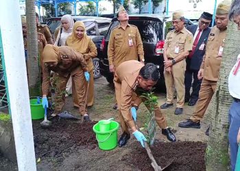 50 Bibit Pohon Ditanam di Kawasan Balaikota Banjarmasin