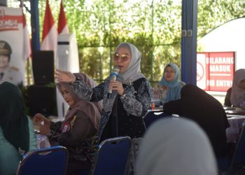 Ikuti Lomba Tim Pembina Posyandu Tingkat Nasional, Ketua TP PKK Kalsel Pimpin Langsung Rakor