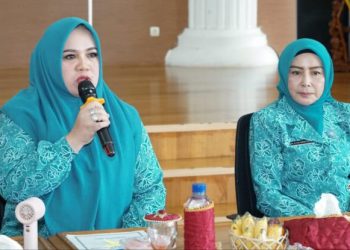 Faridah Yamani Optimis Posyandu ILP Kamboja Raih Hasil Terbaik