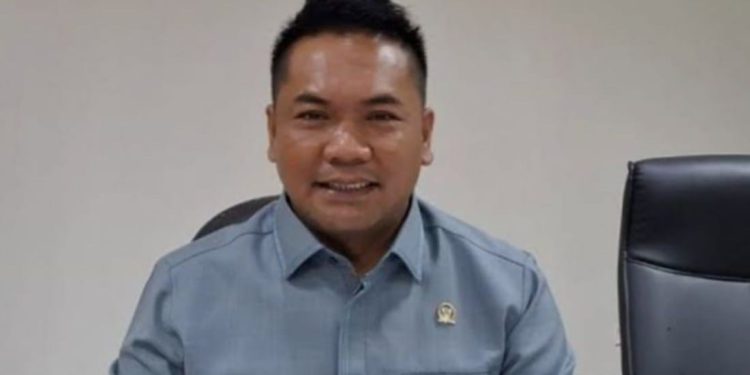 Wakil Ketua Komisi I DPRD Banjarmasin Deddy Sophian. (foto : istimewa)