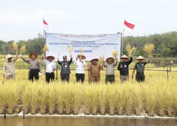 Bupati Tabalong Apresiasi Dukungan BI Kalsel untuk Padi Apung