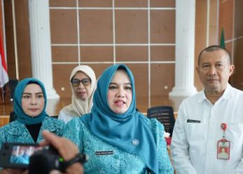 Lewat Bazar, Dekranasda Tapin Angkat Potensi Kerajinan Lokal