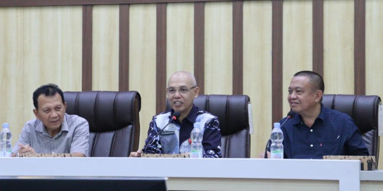 Plh Bupati Tapin Sulfiansyah. (foto : istimewa)