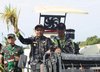 Bupati Yamani : Tapin Siap Jadi Penyangga Pangan Nasional