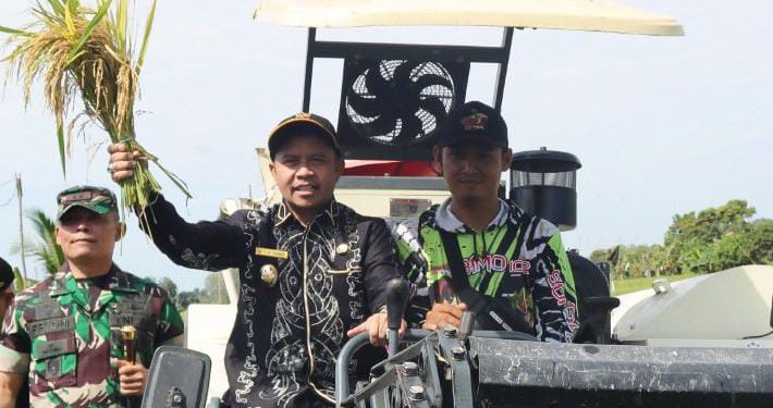 Bupati Tapin H Yamani saat ikut panen raya. (foto : istimewa)