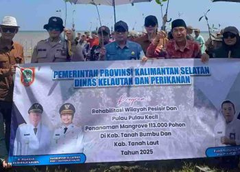 Dinas Kelautan dan Perikanan Tanam 113 Ribu Pohon Mangrove di Dua Kabupaten