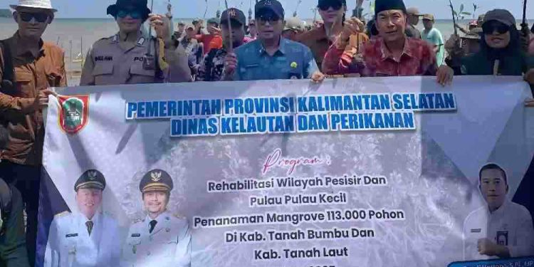 Penanaman pohon mangrove Dinas Kelautan dan Perikanan Kalsel. (foto : istimewa)