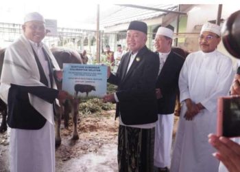 Gubernur dan Wagub Serahkan Sapi Kurban Bantuan Presiden