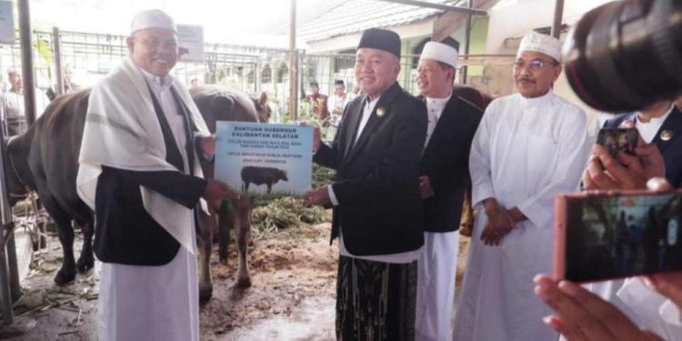 Gubernur Kalsel H Muhidin saat menyerahkan sapi bantuan presiden ke pihak Masjid Raya Sabilal Muhtadin. (foto : Adpim Kalsel)