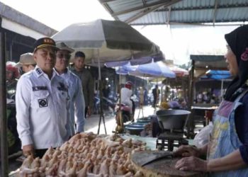 Jelang Idul Adha, Bupati Tapin Monitoring Stok Kebutuhan Pokok