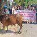 60 Tahun Trio Motor, Kian Erat Bersama Masyarakat Lewat Aksi Kurban