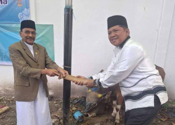 Supian HK Apresiasi Bantuan Dua Ekor Sapi Kurban Bank Kalsel untuk DPRD