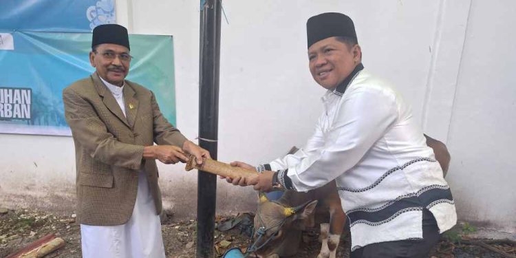 Sekretaris DPRD Kalsel M Jaini menyerahkan sapi kurban Bank Kalsel  kepada Ketua DPRD Kalsel H Supian HK. (foto : istimewa)