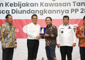 Komitmen dalam Implementasi Kebijakan KTR, Wagub Kalsel Terima Penghargaan