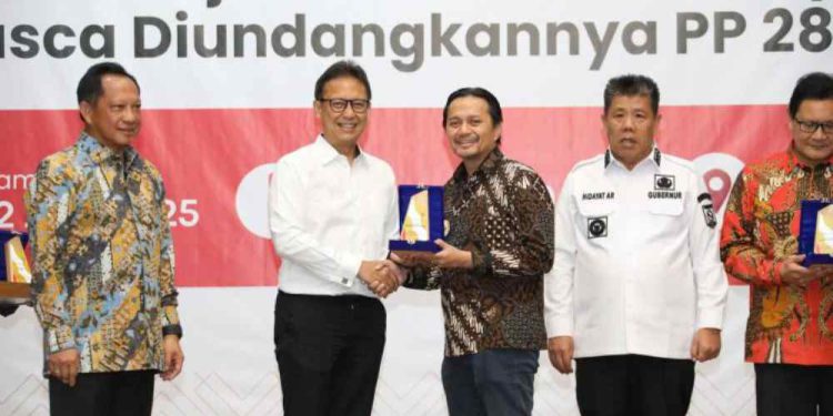 Wagub Kalsel Hasnuryadi Sulaiman menerima plakat penghargaan dari Menteri Dalam Negeri Tito Karnavian. (foto : istimewa)
