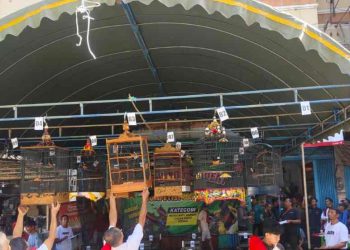 Trio Motor Martadinta Gelar Lomba Burung Berkicau
