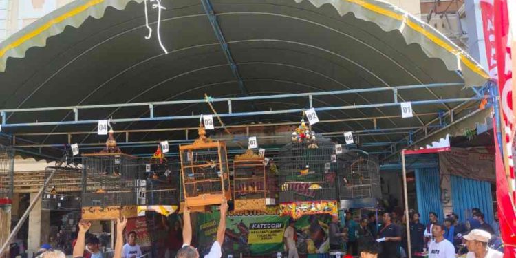 PT Trio Motor melalui jaringan Dealer resminya menggelar Kompetisi Gantangan Burung Berkicau 2025 di showroom Trio Motor Martadinata. (foto : istimewa)
