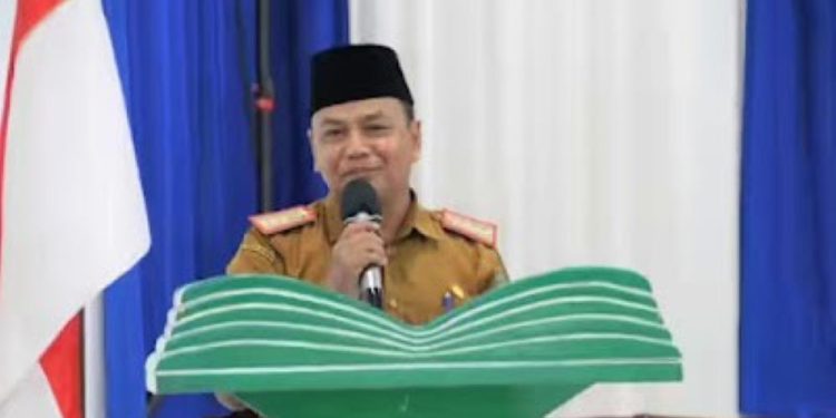 Pj Bupati Barsel Deddy Winarwan. (foto : istimewa)