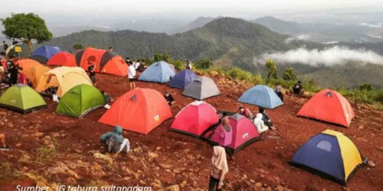 Tahura Sultan Adam Mandiangin. (foto : istimewa)