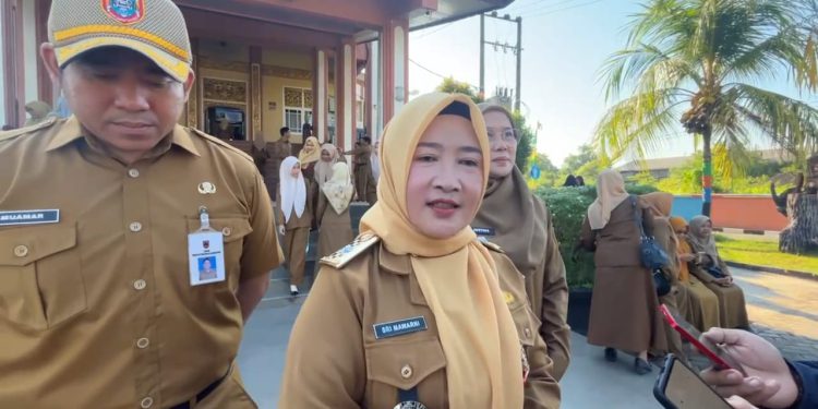 Kepala Dispersip Kalsel Sri Mawarni saat diwawancarai wartawan. (foto : istimewa)