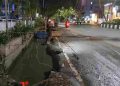 Bangun Drainase dan Tratoar, 24 Pohon Angsana Ditebang
