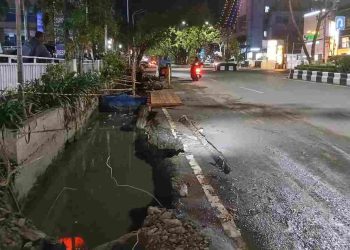 Bangun Drainase dan Tratoar, 24 Pohon Angsana Ditebang