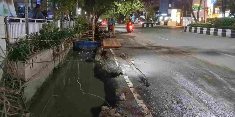 Pembangunan drainase dan tratoar yang menyebabkan pohon ditebang di Jalan Lambung Mangkurat Banjarmasin. (foto : shn/seputaran)