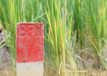 Menteri Nusron Imbau Masyarakat Pasang Patok Permanen di Batas Tanah