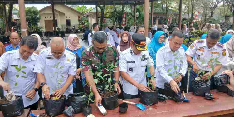 Walikota Banjarmasin HM Yamin saat menanam bibit cabai yang akan dibagikan ke masyarakat pada kampanye Gemarikan. (foto : shn/seputaran)