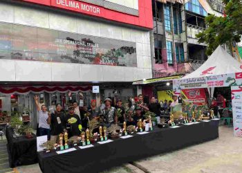 Puluhan Bonsai Artistik Ramaikan Mini Contest di Honda Delima Motor Sutoyo