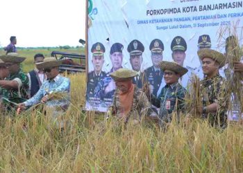 Rembug Tani dan Syukuran Panen Padi Bamara, DKP3 Prediksi Lahan Banjarmasin Mampu Hasilkan 10 Ribu Ton Beras