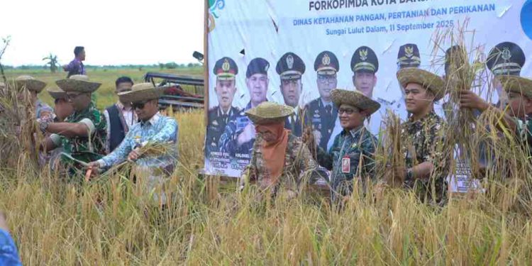 Walikota Banjarmasin HM Yamin saat ikut  Rembuk Tani dan Syukuran Panen Padi BAMARA bersama masyarakat Sungai Lulut Dalam. (foto : shm/seputaran)