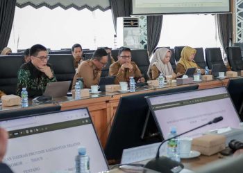 Raperda Penambahan Penyertaan Modal Bank Kalsel Mulai Dibahas