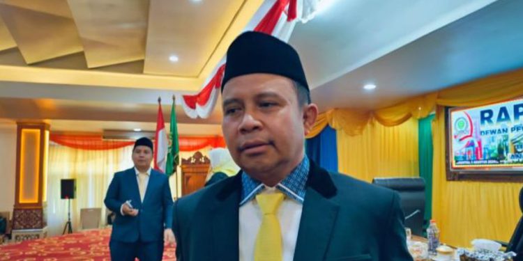 Bupati Tapin H Yamani akan menerima Mandaya Award 2025. (foto : istimewa)