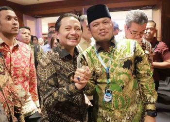 Wagub Kalsel : Pemprov Kalsel Siap Bersinergi bersama APPSI