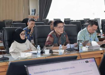 Dewan Dukung Penuh Upaya Pemprov Memperkuat Posisi Pemegang Saham Terbanyak di Bank Kalsel