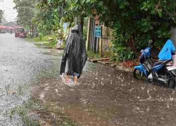 Dinkes Banjarmasin Imbau Masyarakat Waspadai Penyakit di Musim Penghujan