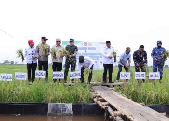 Gubernur H Muhidin : Kalsel Surplus Beras 1,2 Juta Ton