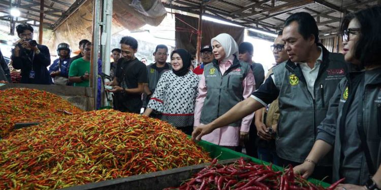 Wakil Walikota Banjarmasin Hj Ananda bersama TPID Banjarmasin saat monitoring Bapokting. (foto : shn/seputaran)